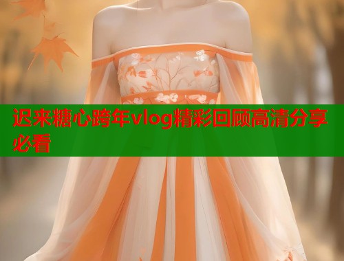迟来糖心跨年vlog精彩回顾高清分享必看  第1张