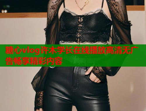 糖心vlog许木学长在线播放高清无广告畅享精彩内容  第1张